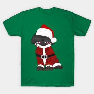 Christmas Labradoodle Santa Claus T-Shirt